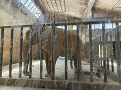 -石家庄市动物园