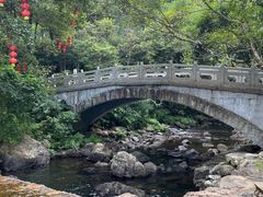 -广州市石门国家森林公园