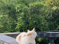 -西湖天地