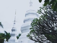 -西双版纳傣族园