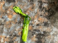 -百草滩羊清水涮羊肉·清真·宁夏盐池滩羊(莲花桥店)