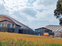 -中国天府农业博览园