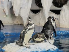 -太平洋海底世界