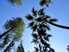 景点-湖光岩风景区