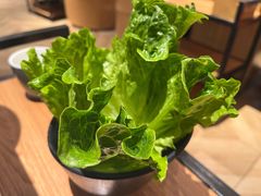 -东椰·海南椰子鸡火锅(朝阳门店)