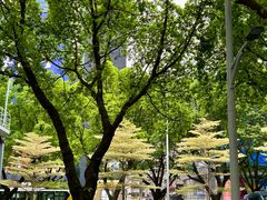 -VT101维多利广场