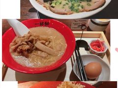 -一豚轩·烧鸟·豚骨拉面(五四路店)