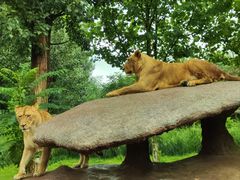 -北京野生动物园