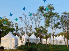 -上海长兴岛郊野公园