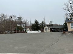 -日照海滨国家森林公园