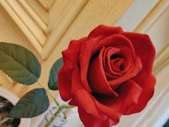 -妈妈菜舟山海鲜(定海古城店)