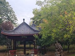-堤角公园
