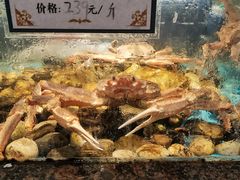-拉完海鲜大排档(温岭店)