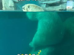 -泉城欧乐堡海洋极地世界