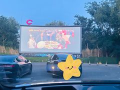 -枫花园汽车电影院(朝阳公园店)