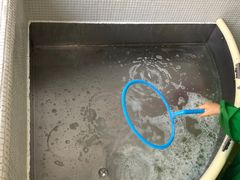 -爱睿思儿童早教亲子游泳(万象城店)
