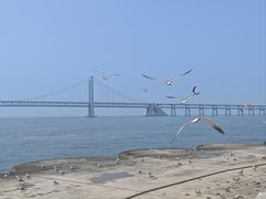 -星海湾跨海大桥