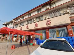 -三毛鱼庄(威连路店)