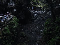 -韬光茶庵