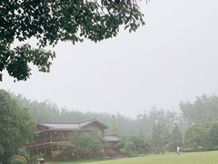 -合肥滨湖国家森林公园