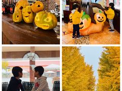 -意大利农场度假村