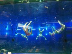 -瑞德姆美人鱼海底演艺主题餐厅(亚龙湾店)