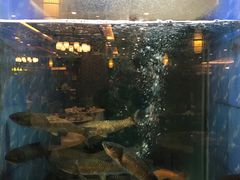 -围龙屋客家食府(福田店)