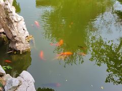 -苏州冶园园林民宿(太湖西山风景区店)