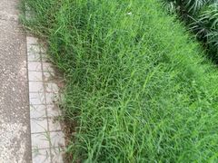 -七哥饭店好吃的客家菜(广电路店)