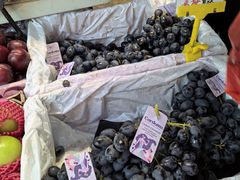 -油麻地果栏