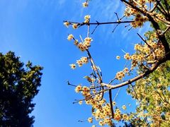 -国家植物园南园