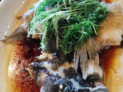 -顺德了能馆(虎门店)