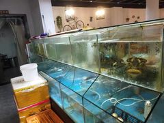 水产区-圆圆家私房美食(民权路店)