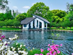 -上海共青森林公园