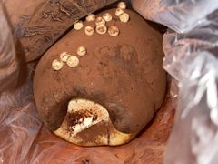 -红跑车HPCBAKERY(汉商店)