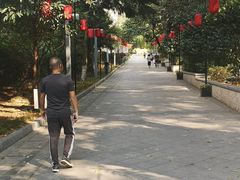 -云碧峰国家森林公园