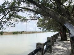 -大湾区中央湿地公园