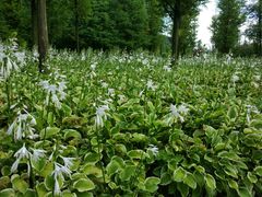 -贵阳市花溪国家城市湿地公园