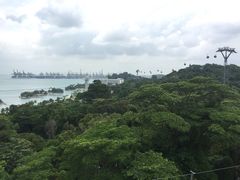 -圣淘沙天际线斜坡滑车