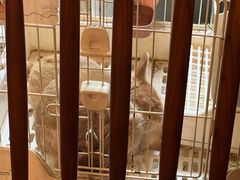 -懒鱼时光馆(沙坪坝店)
