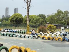 -七桥瓮公园