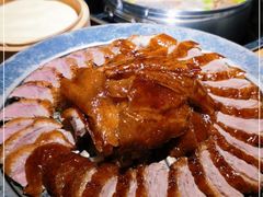 -守柴炉烤鸭(科华中路王府井店)