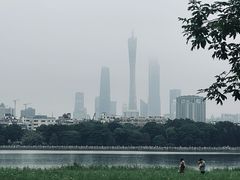 -海珠湖公园