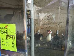 门面-龙桥私厨·姜花菊花过桥鱼·顺德菜(容桂店)