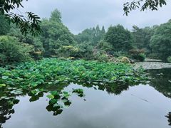 -杭州植物园
