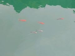 -山西通天峡景区