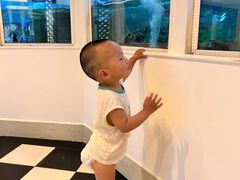 -亚特兰蒂斯·蟹餐厅 CRAB KITCHEN·鲜活海鲜