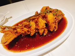 老济南糖醋鲤鱼-金春禧·鲁菜海鲜(延吉路万达店)