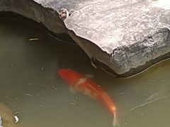 -青州古城