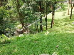 -火炉山森林公园